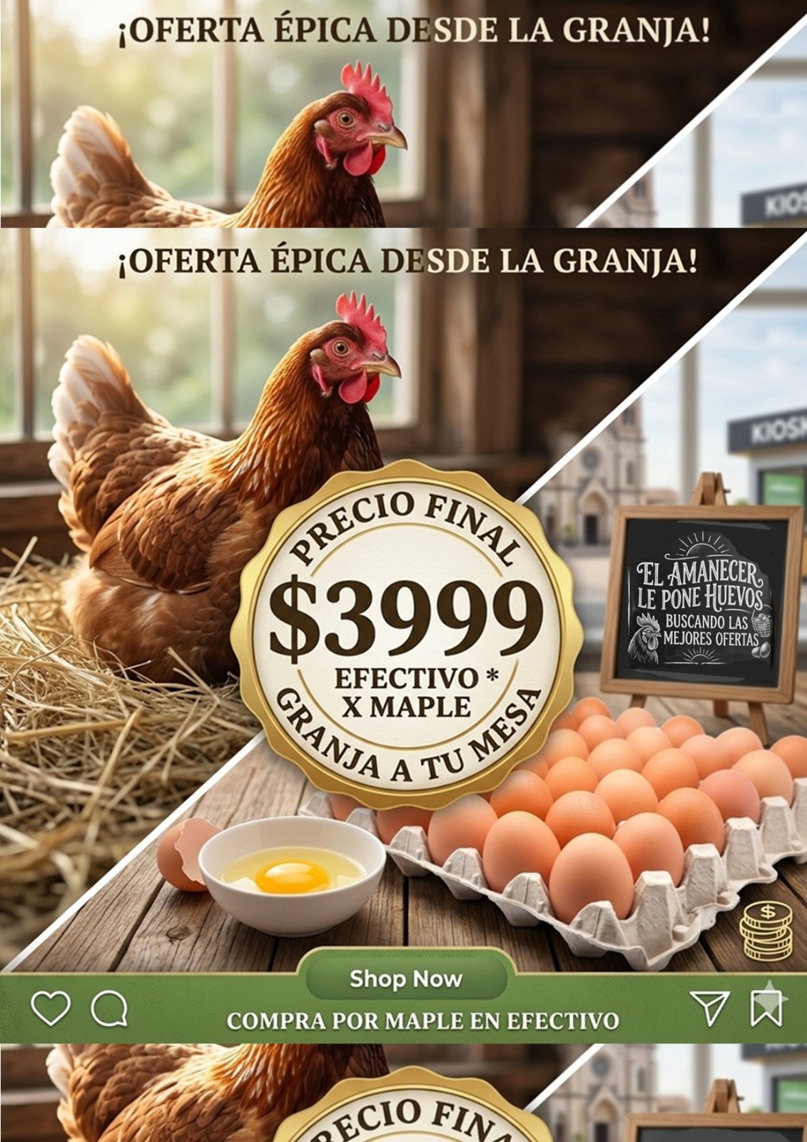 1 HUEVOS DE GALLINA  N°1